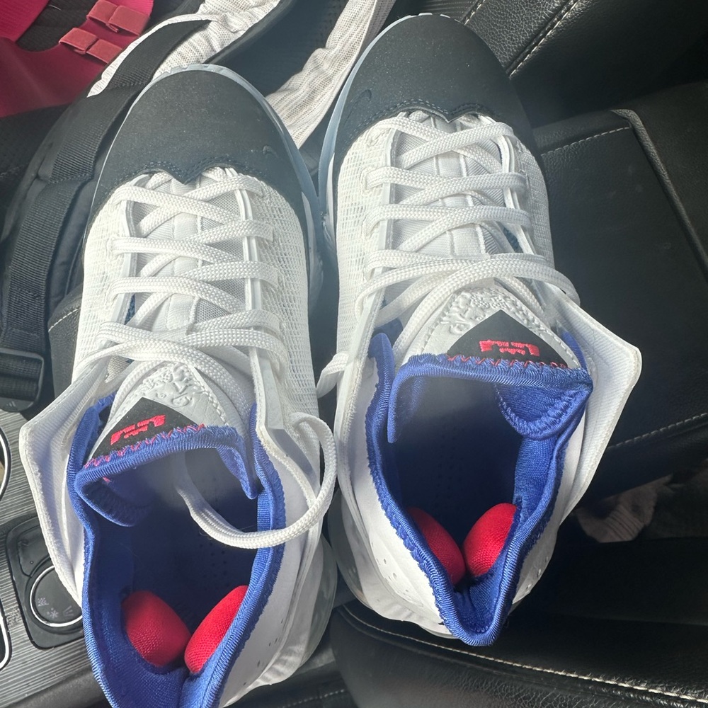 Lebron shoes